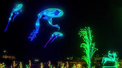 Fête des Lumières : quelle est son origine ?