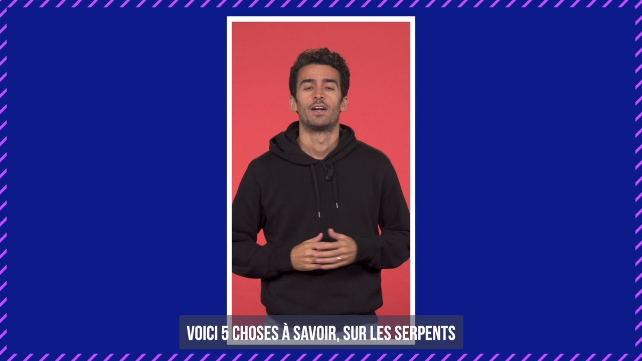 Serpents : Voici 5 choses à savoir sur ces reptiles