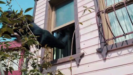 Türk Malı 7.Bölüm Fragmanı