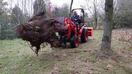 Large Tree Stump Removal with a Kubota B2261 Compact Tractor