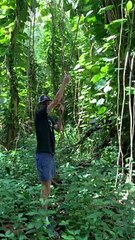Vine Breaks During Swing