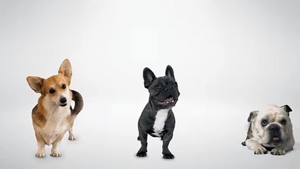 Clifford The Big Red Dog Teaser