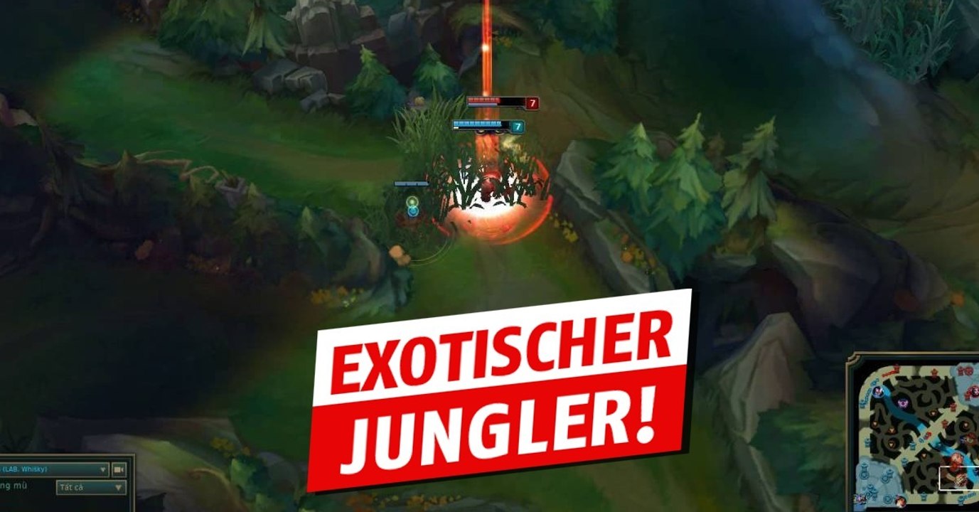 League of Legends: Dieser Spieler ist von Gold auf Diamant aufgestiegen, indem er diesen Midlane-Champion im Jungle spielt