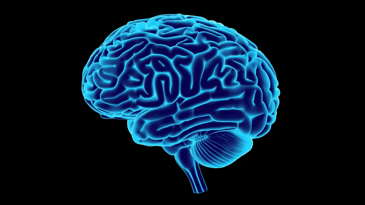 Wie hoch ist dein IQ? Mit nur 3 Fragen findest du es heraus!