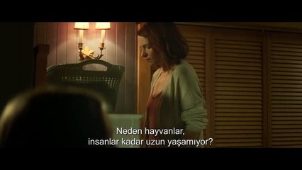 Hayvan Mezarlığı Altyazılı Teaser