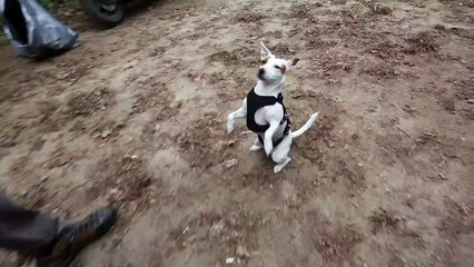 Dört Köşe Kamera Arkası