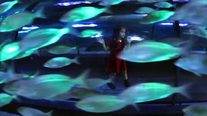 Babamın Günahları Fragman