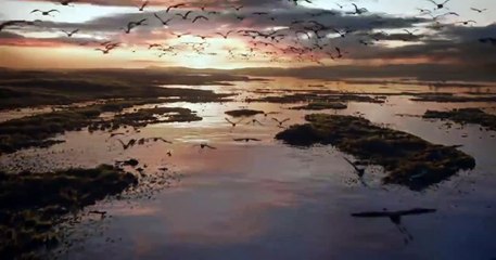 Aslan Kral Orijinal Teaser (2)