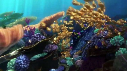 Kayıp Balık Dori Fragman 2