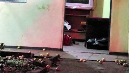 Viatura do SAMU é acionada para evitar tentativa de suicídio