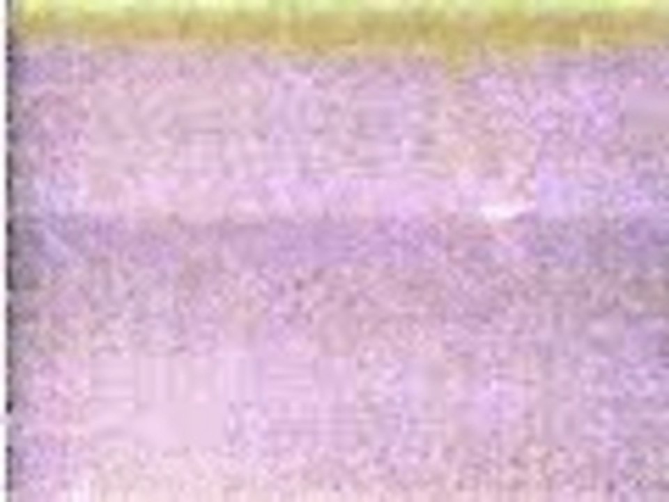 Banned Videos - UFO craft crashes in New Mexico 1997