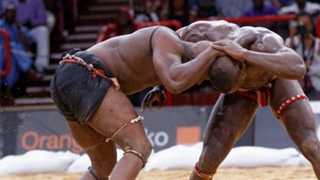 Gambisches Wrestling: Entdeckt die angsteinflößende Mischung aus Ringen und Boxen
