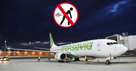 Furzender Passagier sorgt für Notlandung. Die Polizei greift ein