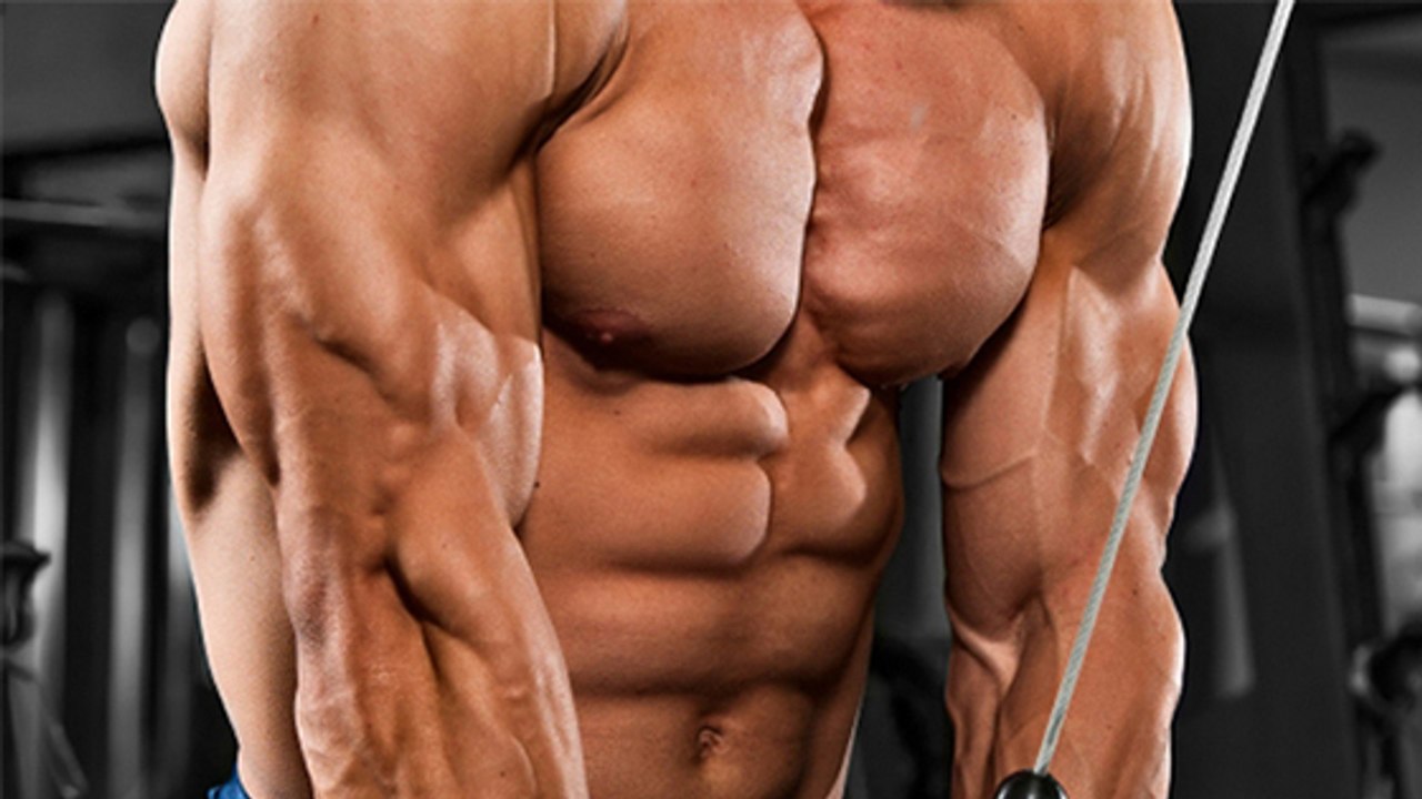 Workout: Die besten Übungen für riesige Trizeps