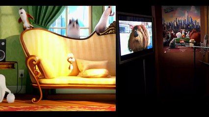 Evcil Hayvanların Gizli Yaşamı - Kamera Arkası