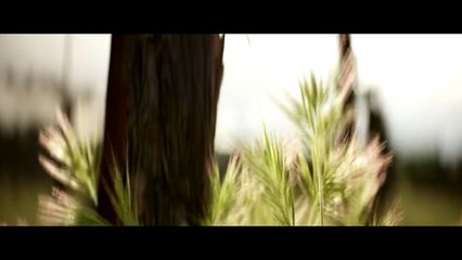 Star Trek: Picard Orijinal Teaser