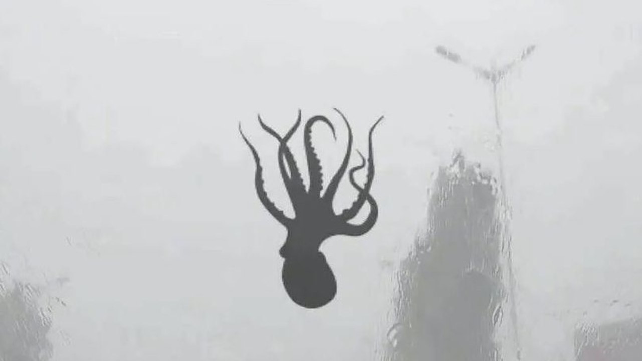 In China regnet es plötzlich Tintenfische