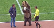 Russland: Bär eröffnet Fußballspiel und sorgt für heftige Reaktionen
