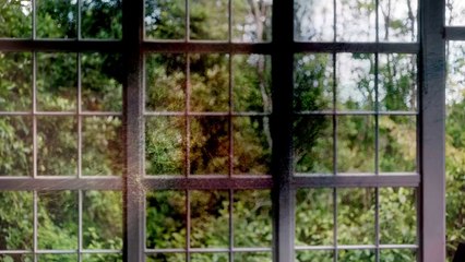 Vermilion Orijinal Fragman