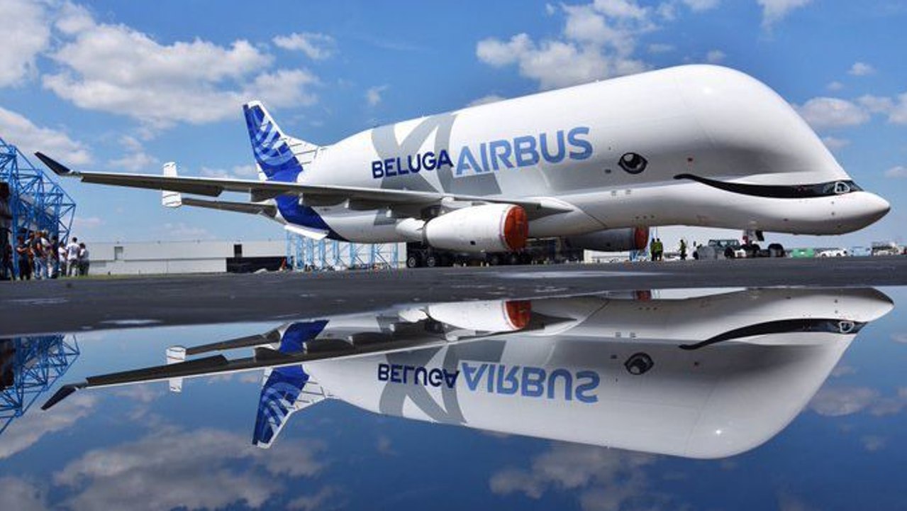 Wie kann dieses Ding fliegen? Airbus präsentiert den Beluga XL