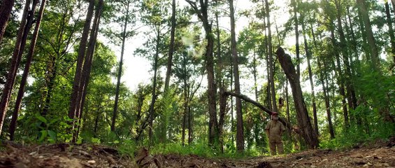 Hallowed Ground Fragman