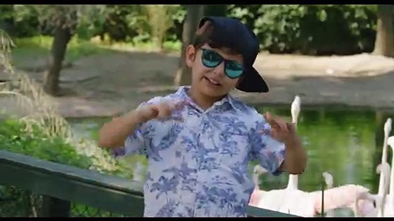 Konuşan Hayvanlar Video klip - Hayvan Dostlarım