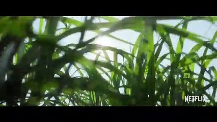 In the Tall Grass Orijinal Fragman (2)