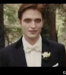 The Twilight saga : breaking dawn part 1