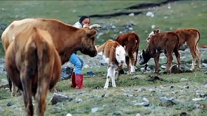 Kartal Avcısı Kız Orijinal Fragman