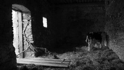 Kasım Orijinal Fragman (2)