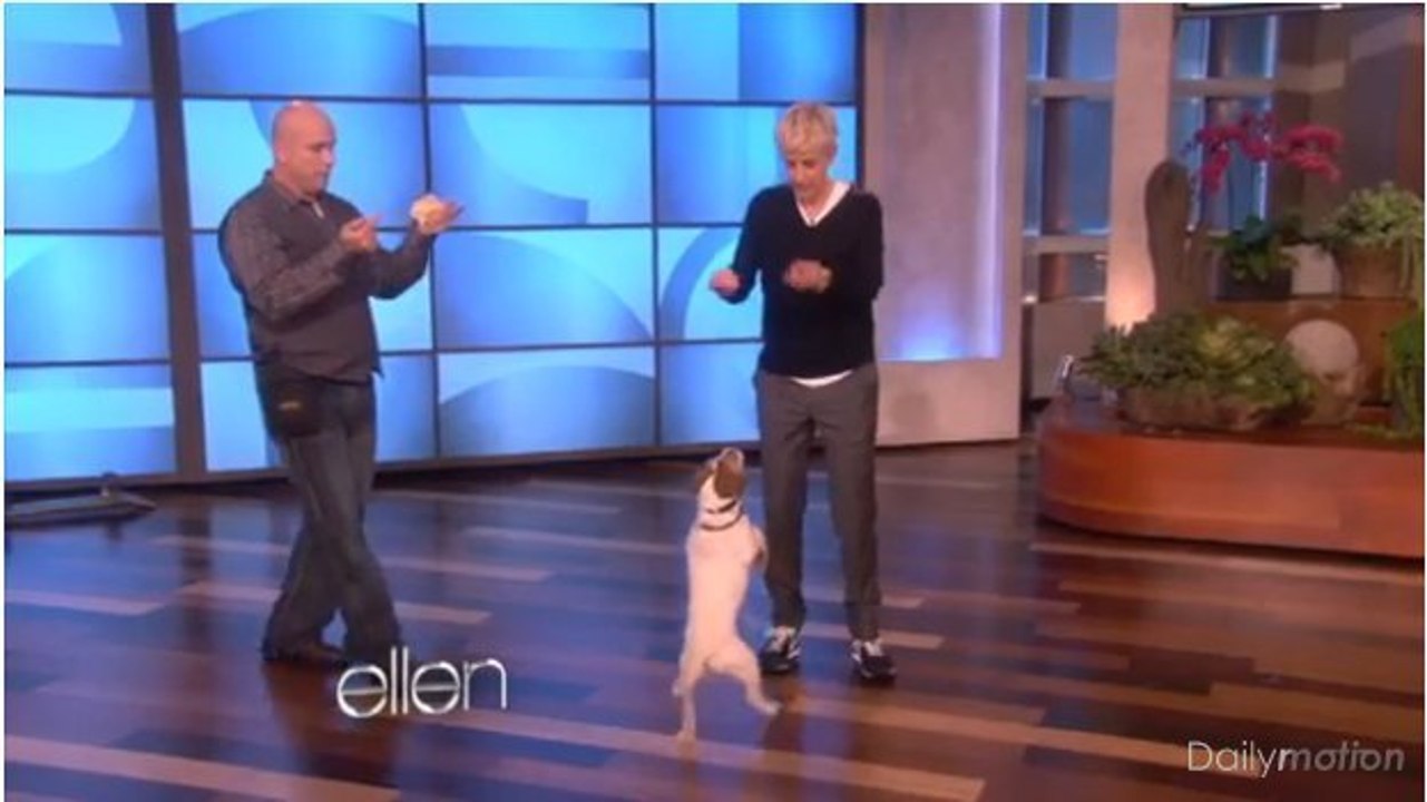 Uggie, le chien de The Artist, fait du skateboard chez Ellen DeGeneres