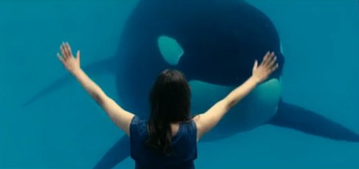 De rouille et d'os de Jacques Audiard : La charge et la violence des corps