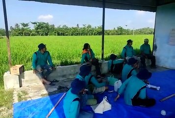 Petani di Desa Kebun Kelapa Ikut Sekolah Lapang