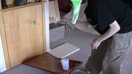 Une incroyable compilation de 67 coups réussis avec une balle de ping-pong