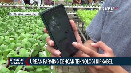 Pertanian Perkotaan dengan Memanfaatkan Teknologi Nirkabel