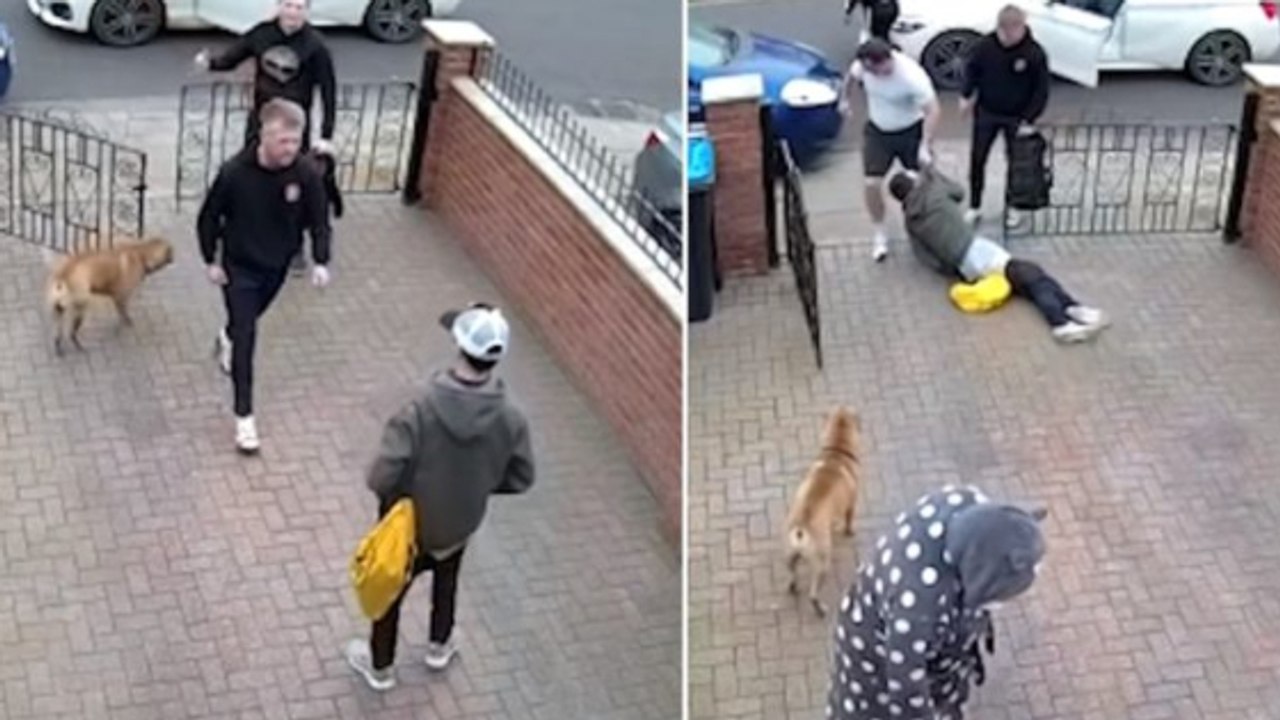 Ein sohn verteidigt seine kranke mutter durch ein fettes k.o. (video)