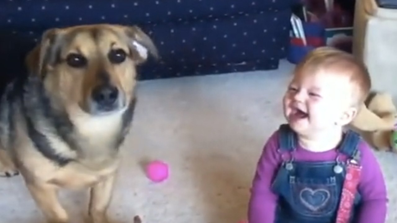Ce bébé ne peut s'empêcher de rire. La raison va vous faire craquer