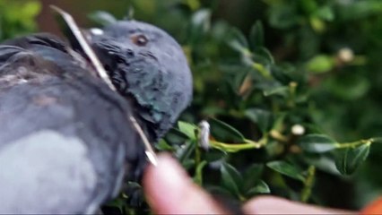 Ayin Orijinal Teaser (4)