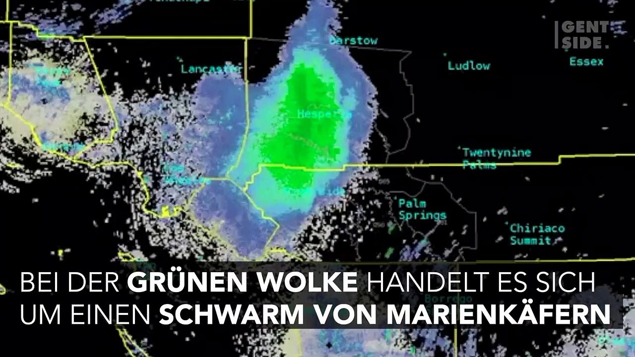 Eine beeindruckende Wolke von 80 Kilometern Marienkäfer zieht über Südkalifornien (Video)