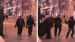 Un ours en liberté attaque des promeneurs en pleine rue