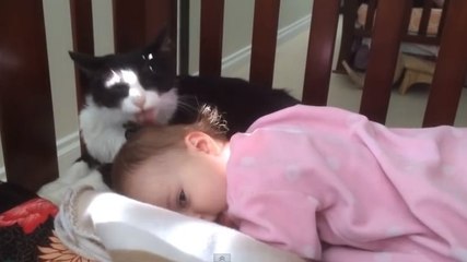 Ce chat pourrait remplacer une baby-sitter tant il sait s'occuper de ce bébé