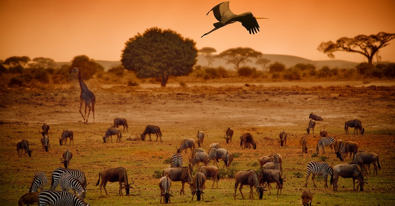 Mehr als nur Artenvielfalt bedroht: Die UNO macht einen erschreckenden Bericht