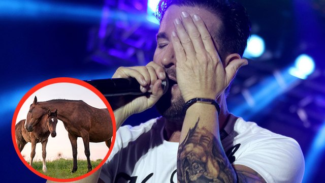 Wegen seiner Pferde: Michael Wendlers Karriere vor dem Aus