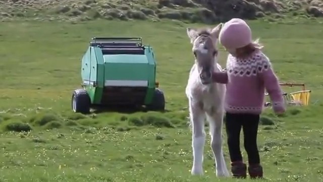 Cette petite fille a beaucoup de chance. Son meilleur ami n'est pas comme les autres