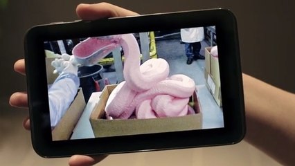 Ces images dévoilent comment sont fabriqués les nuggets. Vous n'allez pas en revenir