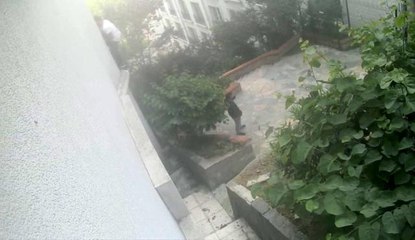 Son dakika haberi | İstanbul'da otele tırmanan hırsızlar kamerada: Cüzdan çalıp paraları bölüştüler