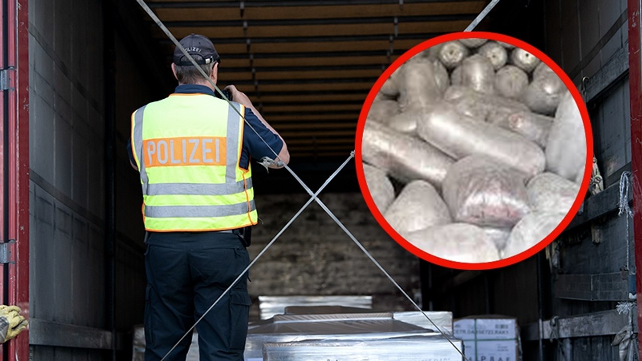 Dresdner Zoll macht 2.000 Kilo schweren Ekelfund in Kühltransporter