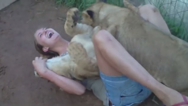 Cette jeune femme est en bonne compagnie. Elle a deux lionceaux juste pour elle