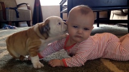 Ce bébé et ce chiot sont de très bons copains. Regardez les jouer ensemble