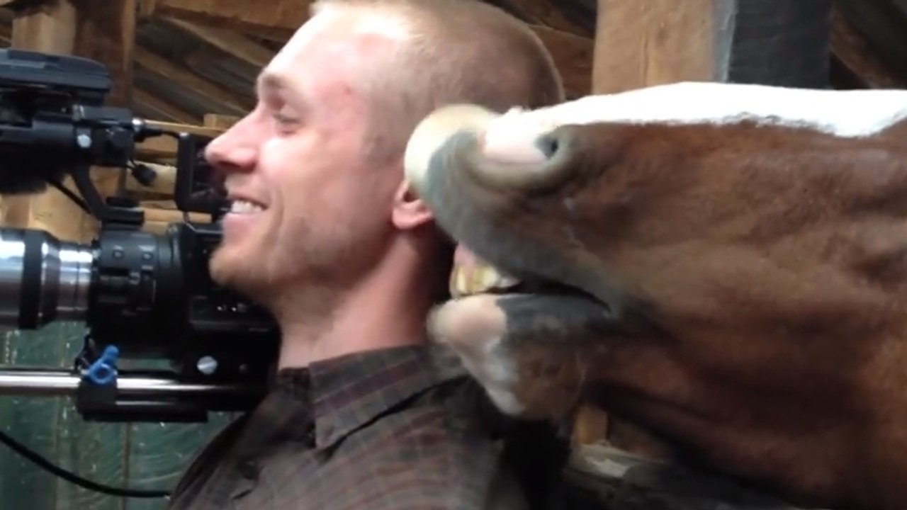Ce cheval ne veut pas laisser le cameraman en paix. Il est impossible à gérer